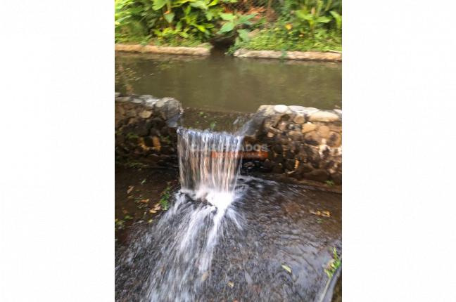 Fincas y Casas Campestres, Venta, Calima (Darién) - $1.200.000.000