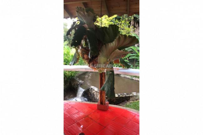 Fincas y Casas Campestres, Venta, Calima (Darién) - $1.200.000.000