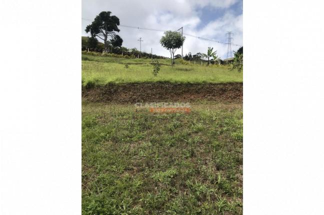 Lotes, Venta en La Reforma