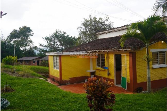 Fincas y Casas Campestres, Venta, Dagua - $490.000.000