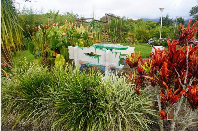 Fincas y Casas Campestres, Venta, Dagua - $490.000.000