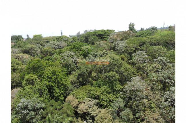 Apartamentos, Venta, Ciudad Jardín - $820.000.000