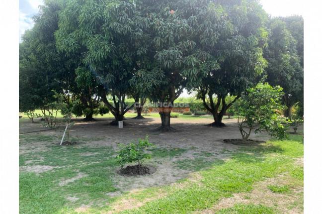 Fincas y Casas Campestres, Venta, Palmira - $1.350.000.000