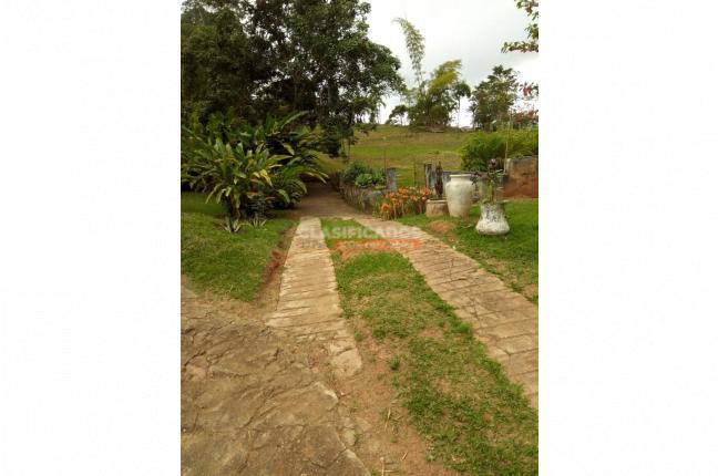 Lotes, Venta, Dagua - $350.000.000