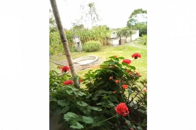 Lotes, Venta, Dagua - $350.000.000