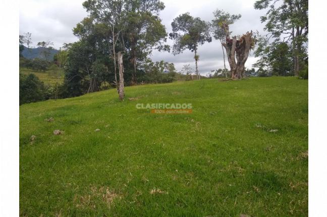 Lotes, Venta, Dagua - $350.000.000