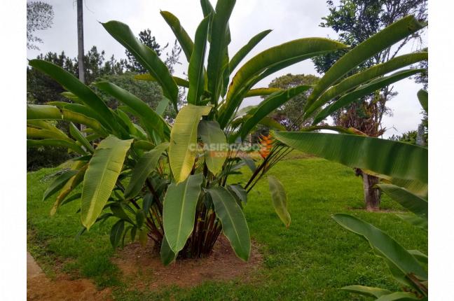 Lotes, Venta, Dagua - $350.000.000