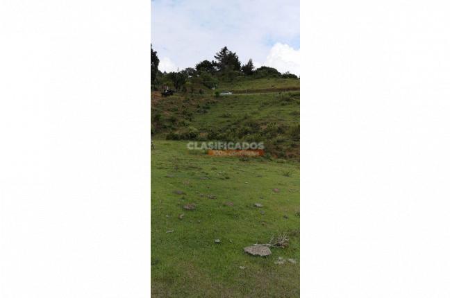 Lotes, Venta, Calima (Darién) - $434.000.000