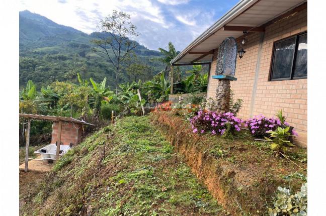 Fincas y Casas Campestres, Venta, Buga - $270.000.000