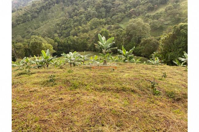 Fincas y Casas Campestres, Venta, Buga - $270.000.000