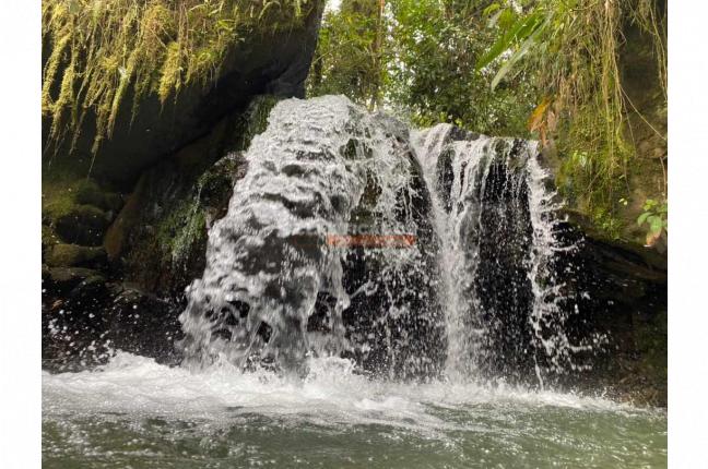 Fincas y Casas Campestres, Venta, Buga - $270.000.000