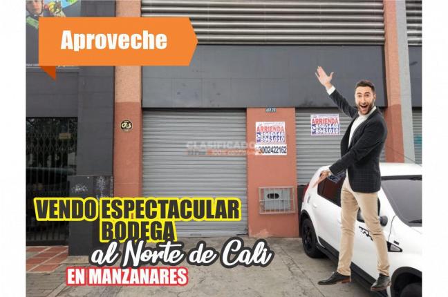 Locales y Bodegas, Venta en Manzanares