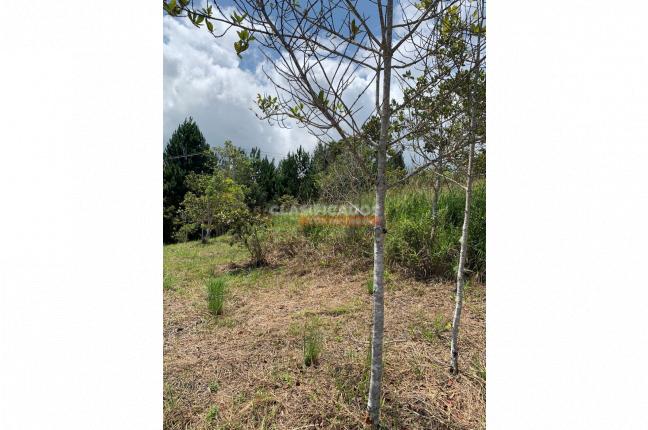 Lotes, Venta, Dagua - $200.000.000