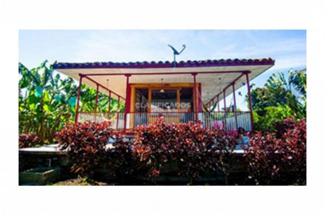 Fincas y Casas Campestres, Venta, Montenegro - $3.200.000.000