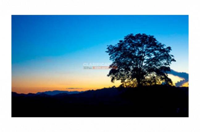 Fincas y Casas Campestres, Venta, Montenegro - $3.200.000.000