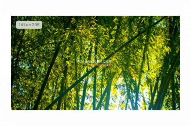 Fincas y Casas Campestres, Venta, Montenegro - $3.200.000.000