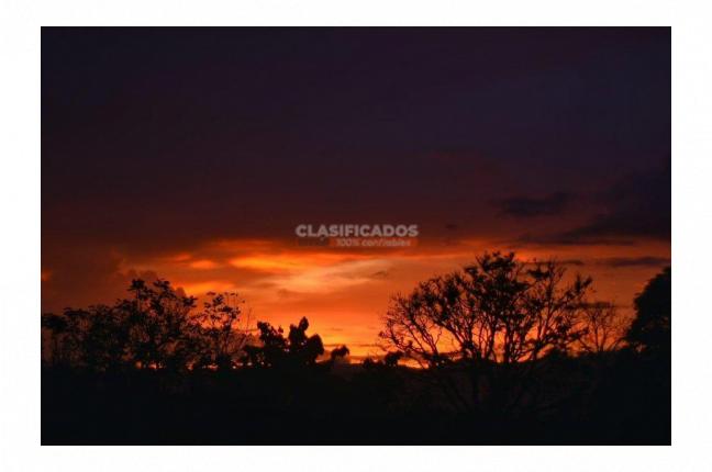 Fincas y Casas Campestres, Venta, Montenegro - $3.200.000.000