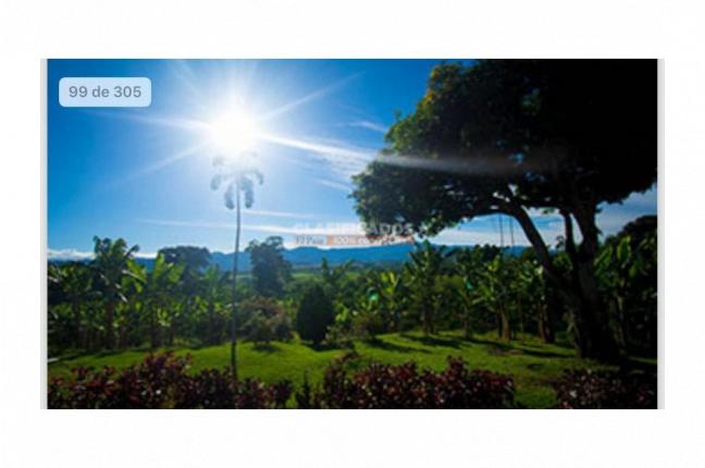 Fincas y Casas Campestres, Venta, Montenegro - $3.200.000.000