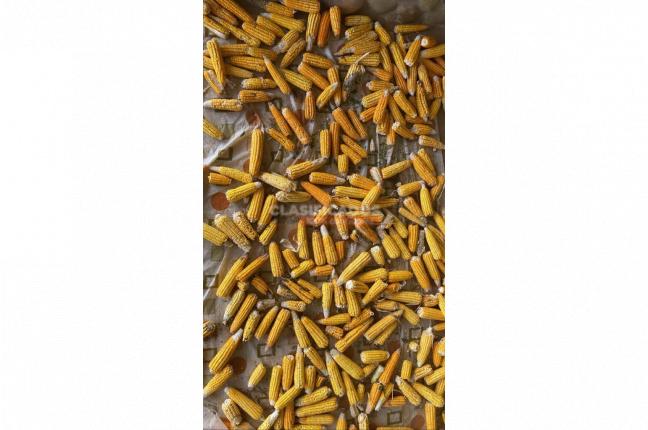 Fincas y Casas Campestres, Venta, La Cumbre - $530.000.000