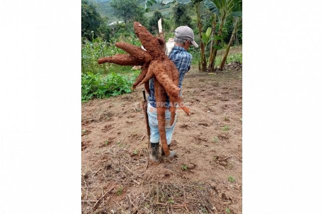 Fincas y Casas Campestres, Venta, La Cumbre - $530.000.000