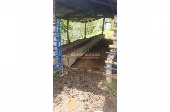 Fincas y Casas Campestres, Venta, Armenia - $450.000.000