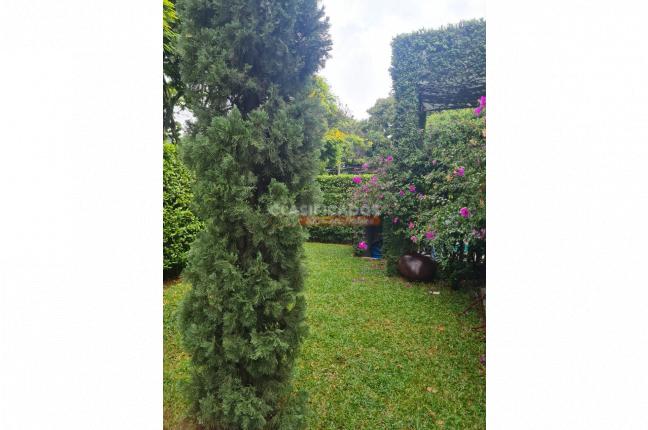 Casas, Venta en La Flora