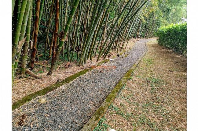 Lotes, Venta en Jamundí