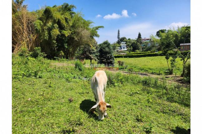 Lotes, Venta, Dagua - $195.000.000