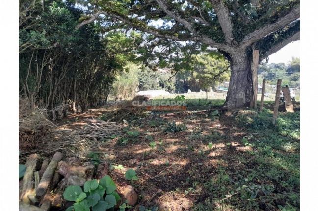 Lotes, Venta, Dagua - $195.000.000