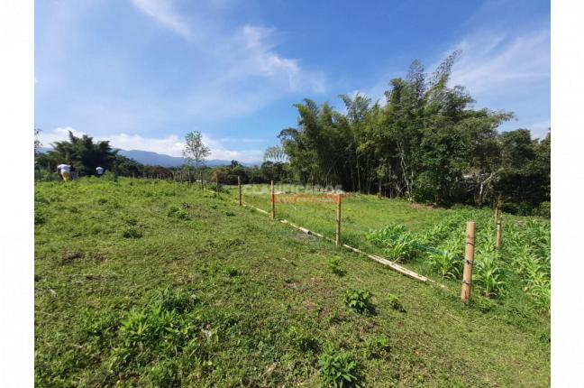 Lotes, Venta, Dagua - $195.000.000