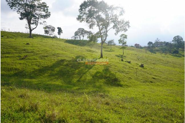 Lotes, Venta, Dagua - $225.000.000