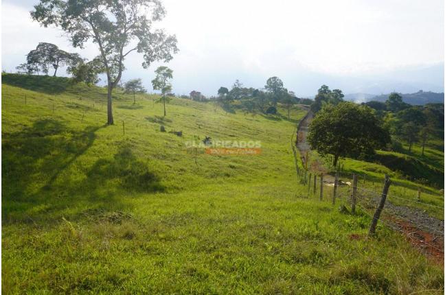 Lotes, Venta, Dagua - $225.000.000