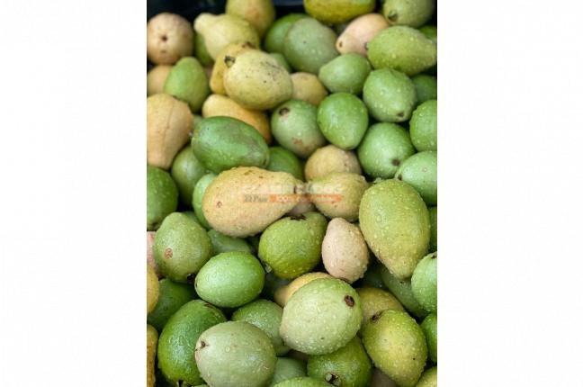 Fincas y Casas Campestres, Venta, Sevilla - $800.000.000