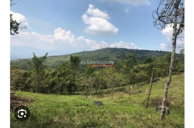 Lotes, Venta, Guacarí - $250.000.000
