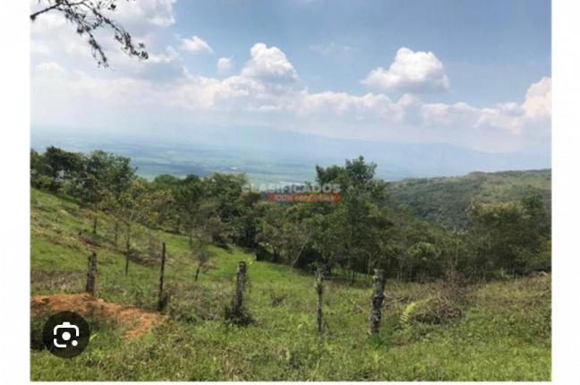 Lotes, Venta, Guacarí - $250.000.000