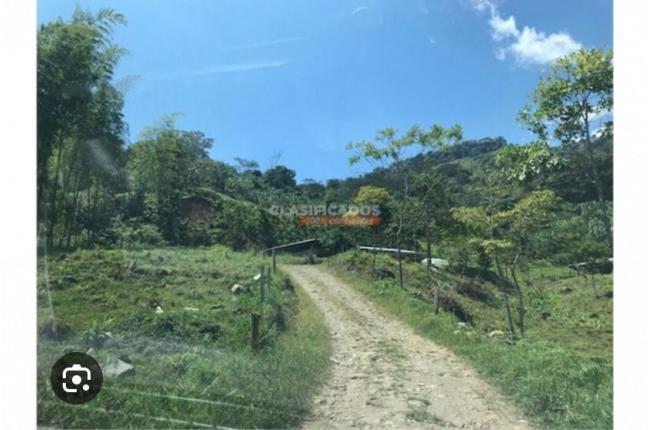Lotes, Venta, Guacarí - $250.000.000