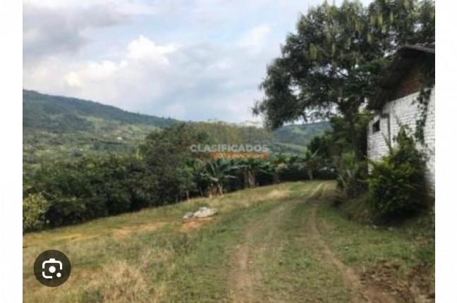 Lotes, Venta, Guacarí - $250.000.000