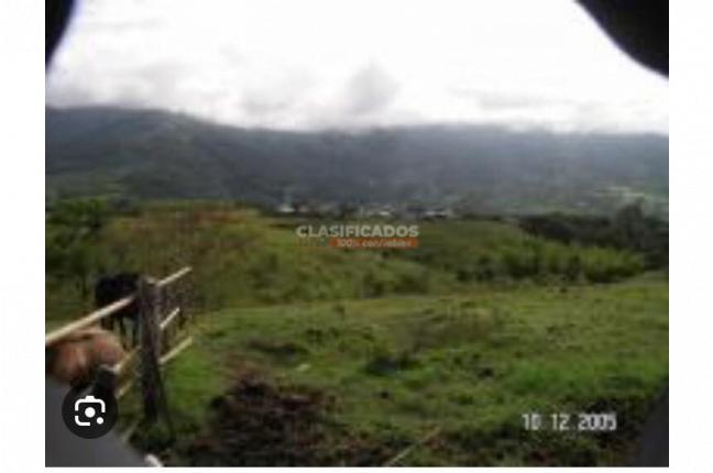 Lotes, Venta, Guacarí - $250.000.000