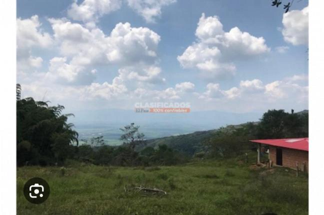 Lotes, Venta, Guacarí - $250.000.000