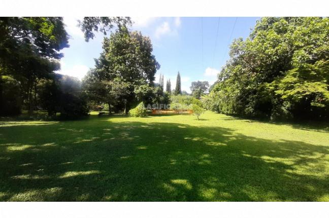 Lotes, Venta en Pance