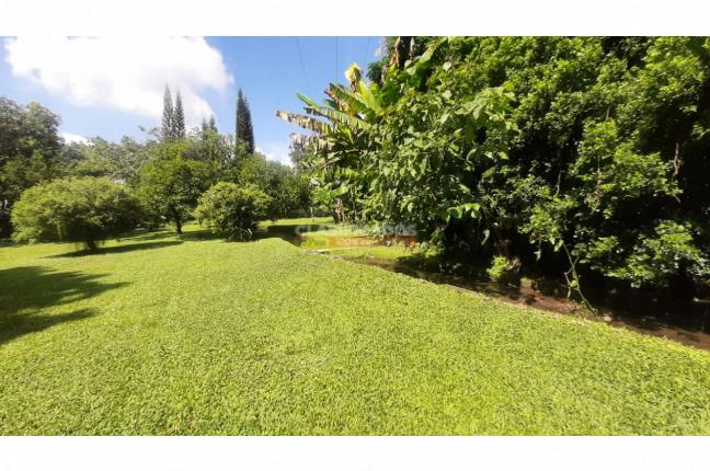 Lotes, Venta en Pance