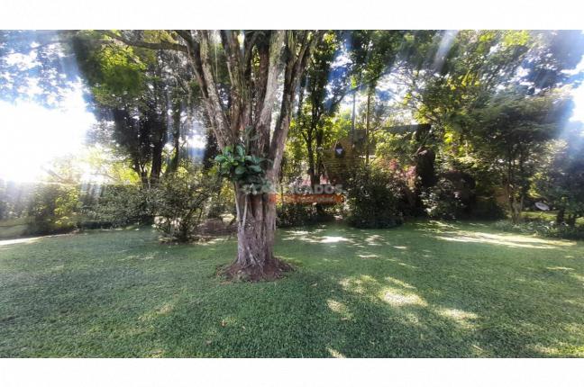 Lotes, Venta, Pance - $3.500.000.000