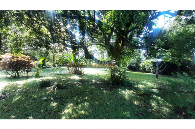 Lotes, Venta, Pance - $3.500.000.000