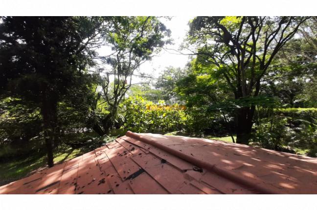 Lotes, Venta, Pance - $3.500.000.000