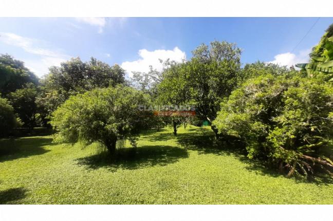 Lotes, Venta, Pance - $3.500.000.000