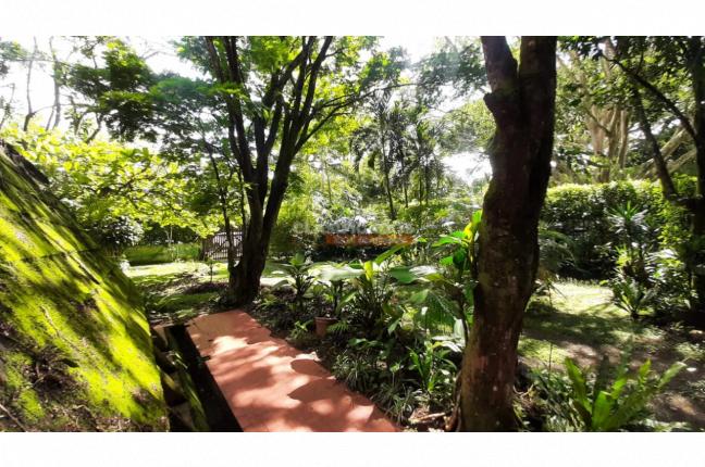 Lotes, Venta, Pance - $3.500.000.000