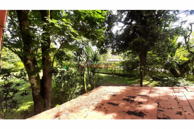 Lotes, Venta, Pance - $3.500.000.000