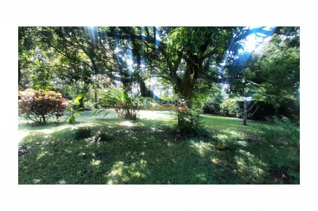 Lotes, Venta, Pance - $3.500.000.000