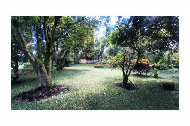 Lotes, Venta, Pance - $3.500.000.000