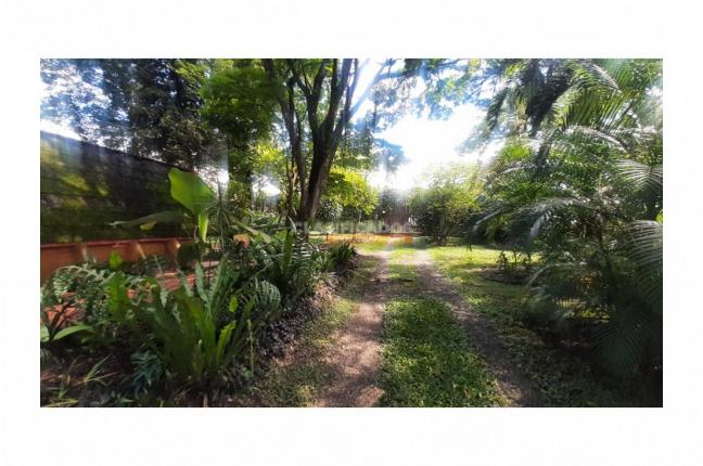 Lotes, Venta, Pance - $3.500.000.000